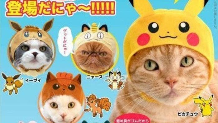 Anunciada una línea oficial de gorros Pokémon para gatos en Japón