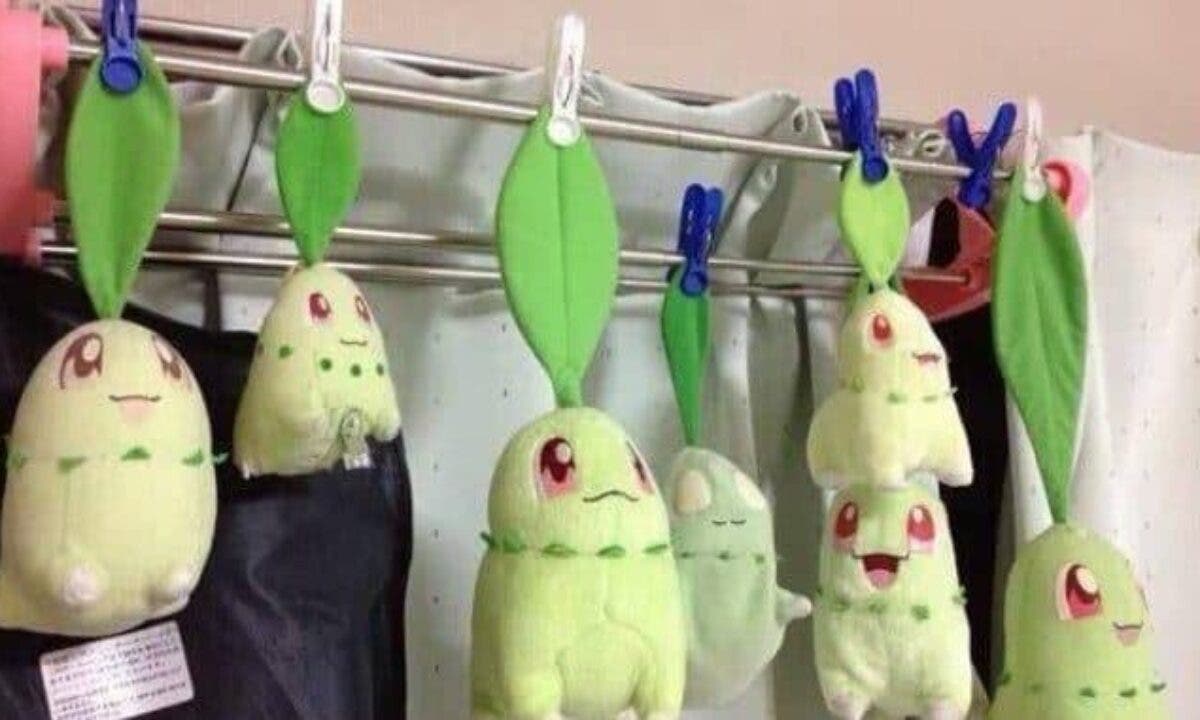 Peluche chikorita cheap