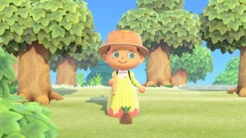 Un museo real de Inglaterra reta a sus seguidores en Twitter a crear un diseño de vestimenta rural en Animal Crossing: New Horizons