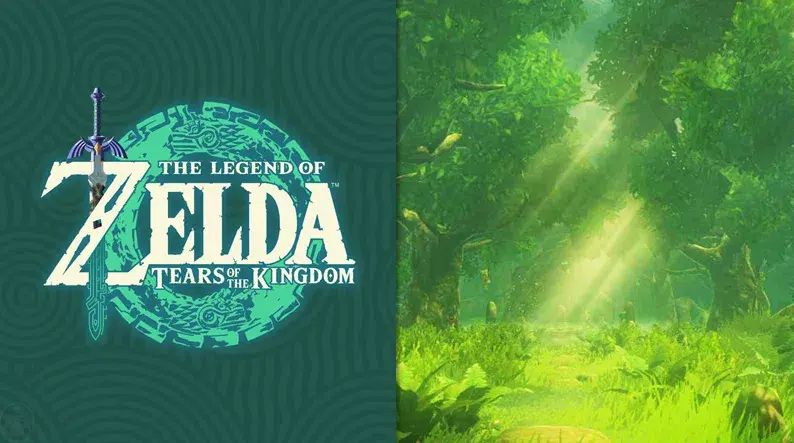 Zelda Tears Bosque Kolog