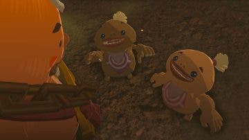 Crean un genial ring de lucha en Zelda: Teards of the Kingdom