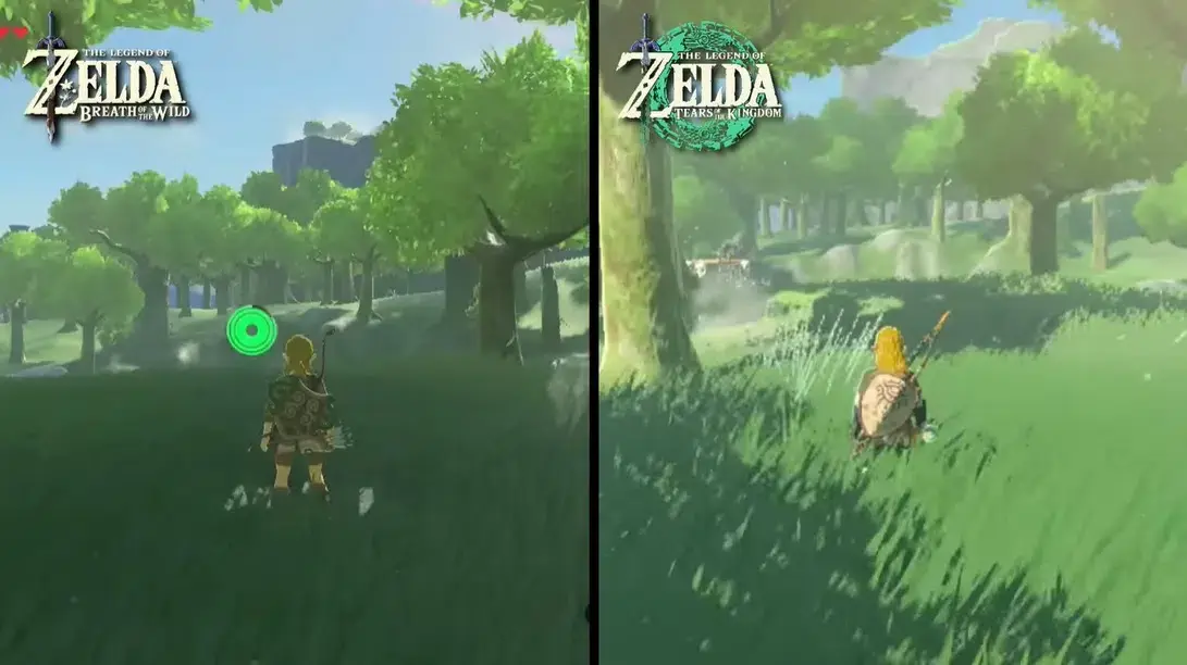 Zelda Tears