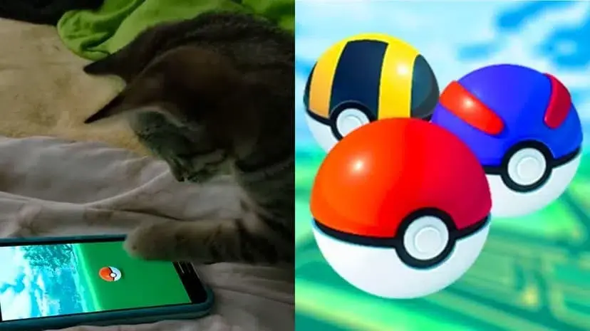 Pok&eacute;mon GO