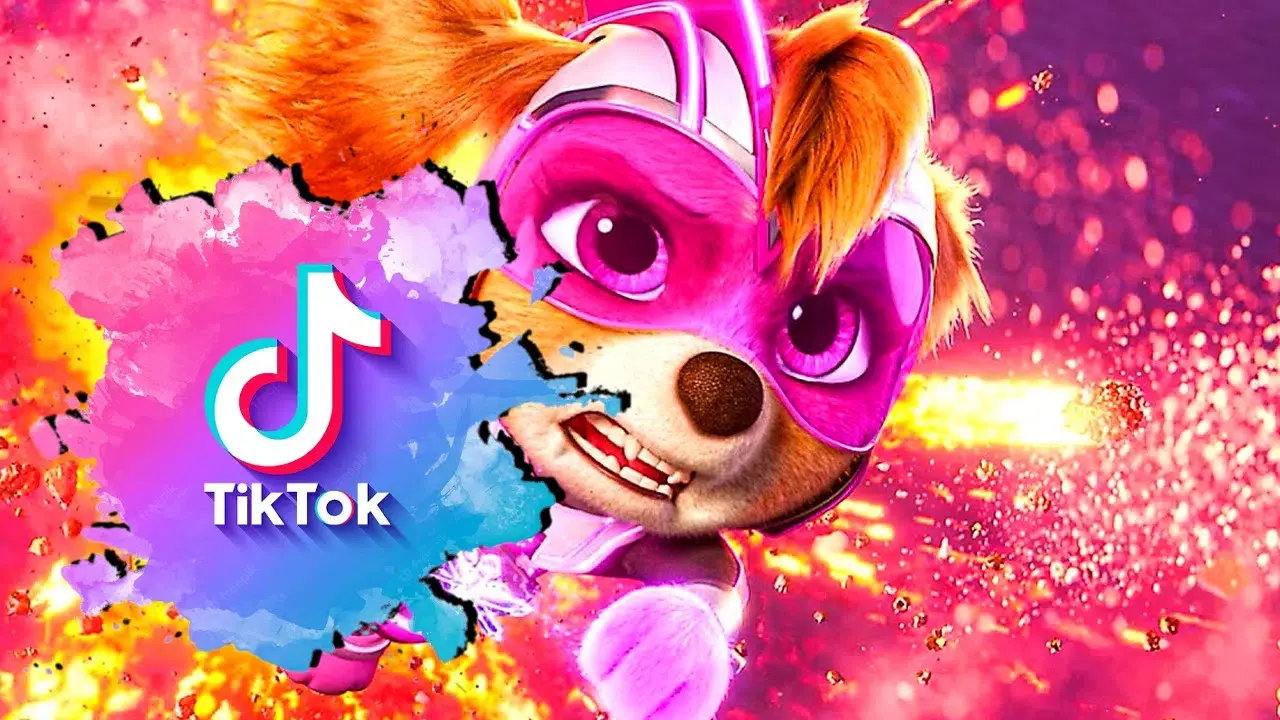 PAW Patrol: C&oacute;mo aplicar el filtro de la Patrulla Canina en Tik Tok de manera r&aacute;pida y sencilla