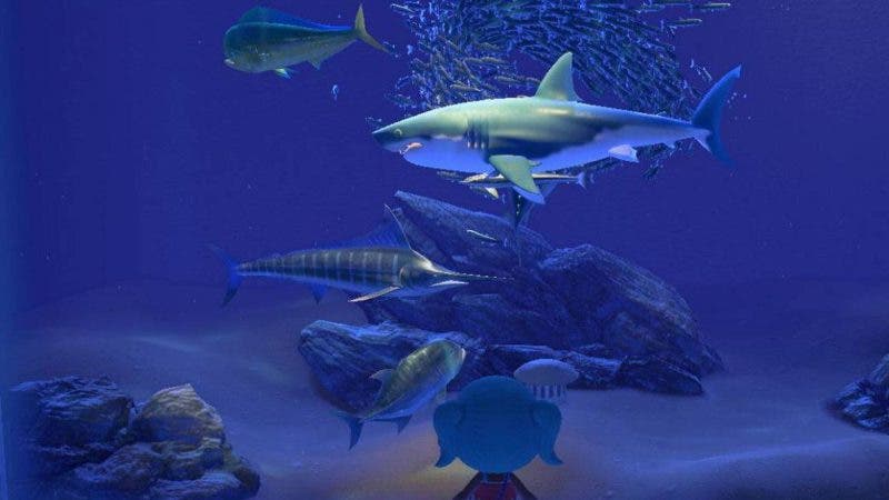 Animal Crossing New Horizons: All current underwater creatures