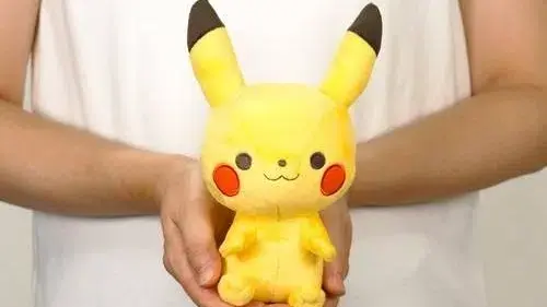 Pok&eacute;mon