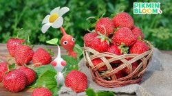 Pikmin Bloom