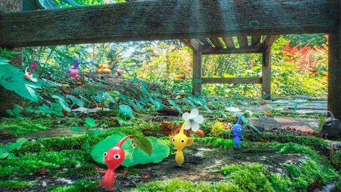 My Nintendo recibe nuevos fondos de pantalla de Pikmin gratis en su catálogo americano