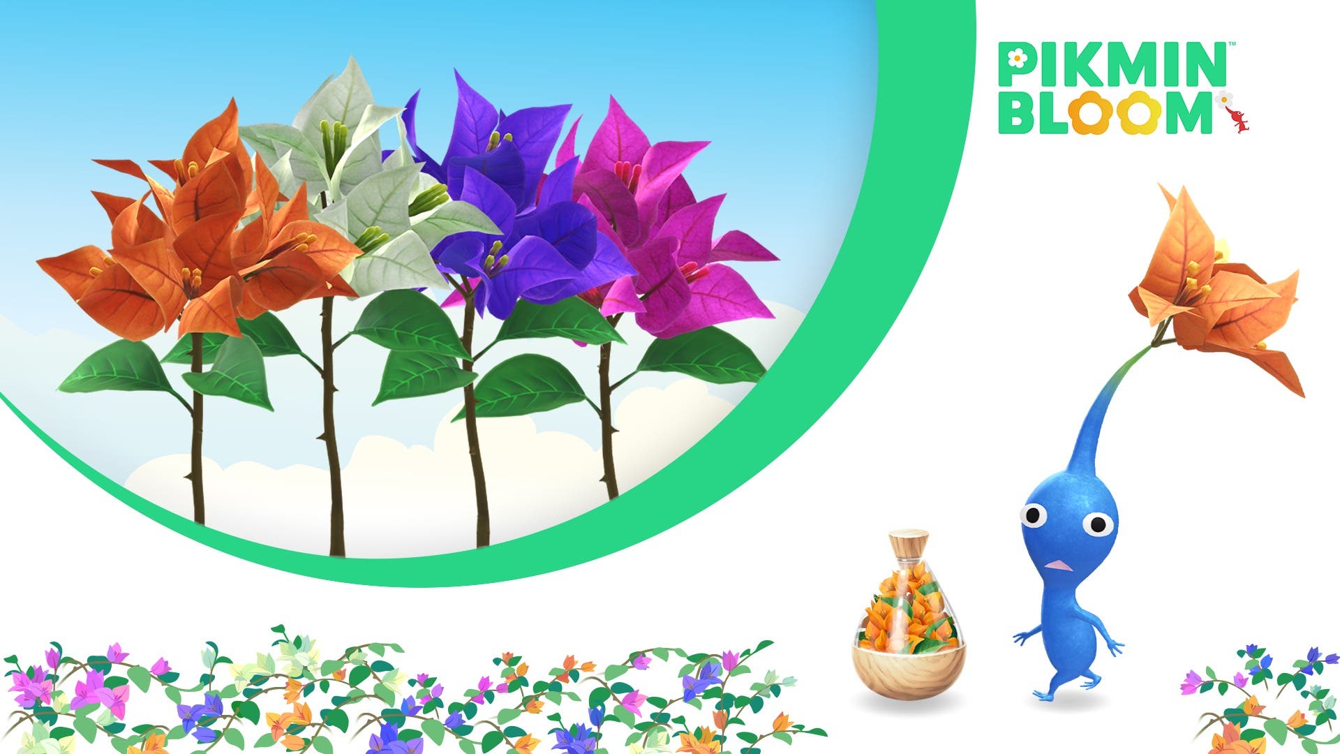 Pikmin Bloom detalla sus planes para septiembre, centrados en las buganvillas