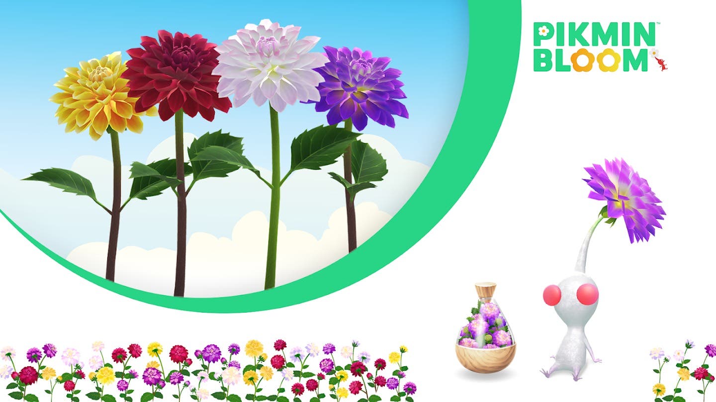 Las dalias protagonizan los planes de Pikmin Bloom durante el próximo mes de octubre