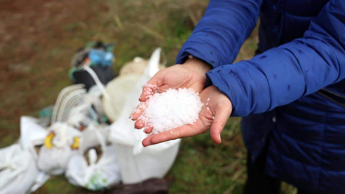 Qué son los pellets y qué ha pasado en las costas de España