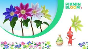 Pikmin Bloom detalla sus planes para noviembre de 2024, centrados en las clemátides