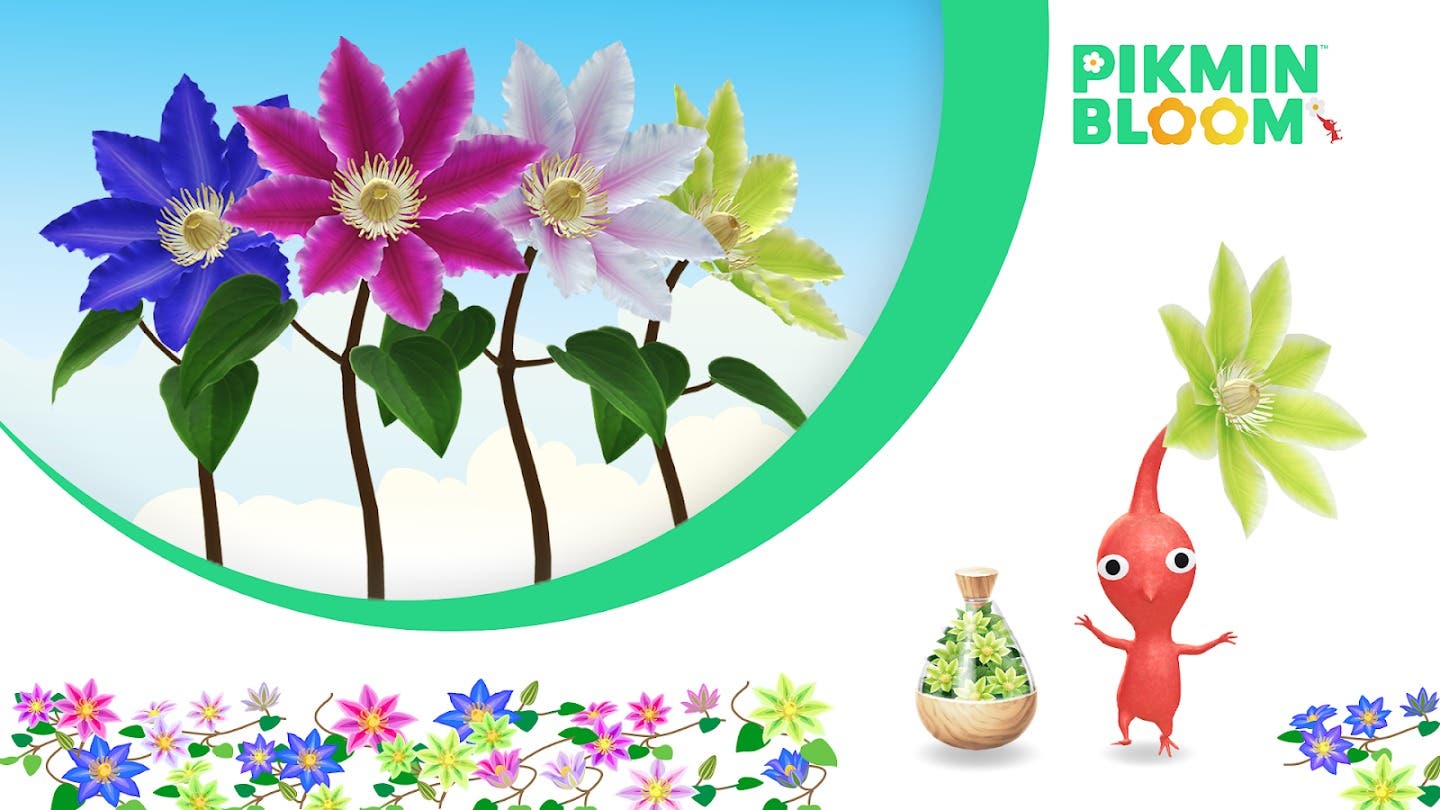 Pikmin Bloom detalla sus planes para noviembre de 2024, centrados en las clemátides