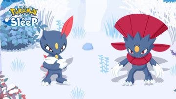 Sneasel y Weavile detallan su llegada a Pokémon Sleep