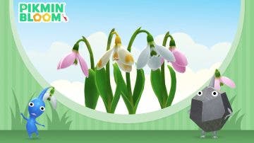 Pikmin Bloom desvela sus planes para febrero de 2025, protagonizados por galantos