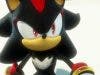 Sonic x Shadow